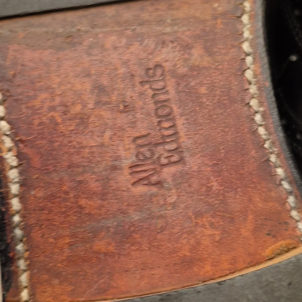 Allen Edmonds shoes see good